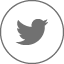 Remote monitoring services tERA